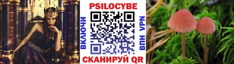 Псилоцибиновые грибы мухоморы  МЕГА как зайти  Нахабино 